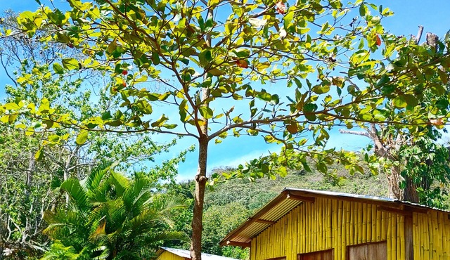 Bamboo cabin with 2 double beds in Catemaco