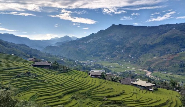 Bamboo Garden Homestay & Coffee