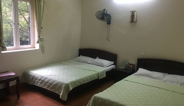 Black Pearl Cat Ba Hostel