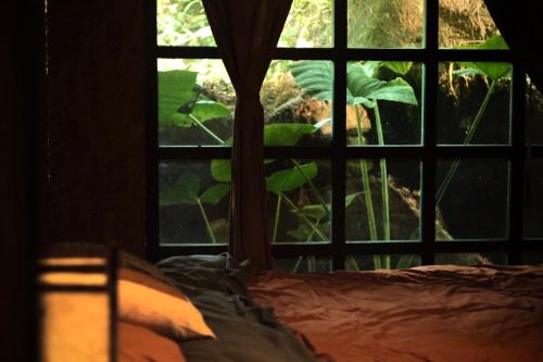 Bluebird chill homestay with Bamboo and Stream