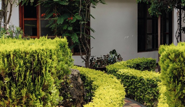 Bule Villas 2 Bedroom-2 Bath Beautiful "Dylan's Corner" in San Francisco Tutla