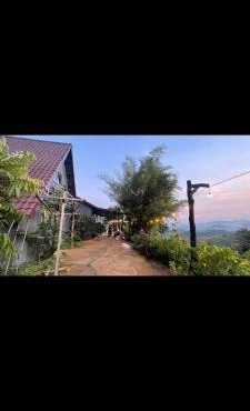 Căn vui mừng joyful home