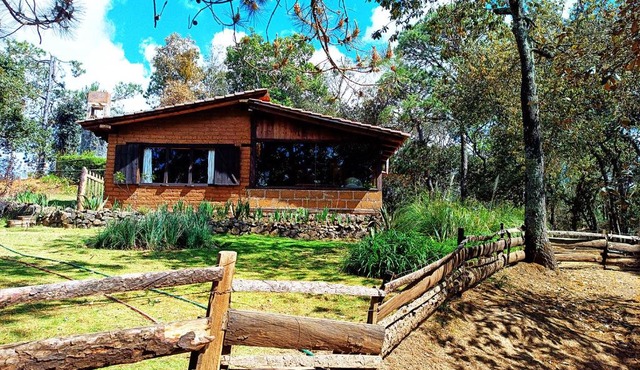 Cabaña en medio del bosque ZA in Acaxochitlán