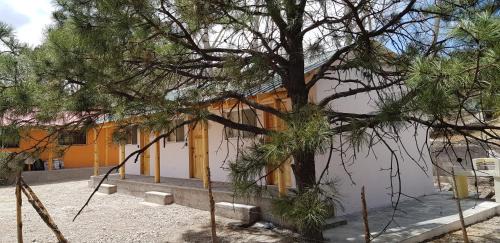 Cabaña La Camelia in Creel