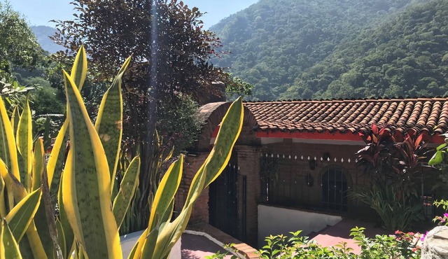 Casa Margarita- escapa a la naturaleza in Boca de Tomatlán