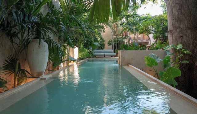 Casa Querida — A Private Oasis in the Heart of Mérida in Mérida