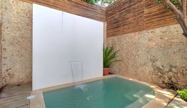 Casa Sweet Pea, Bright and Stylish in Centro in Mérida