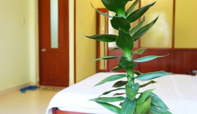 Cat Tien Guesthouse in Mui Ne