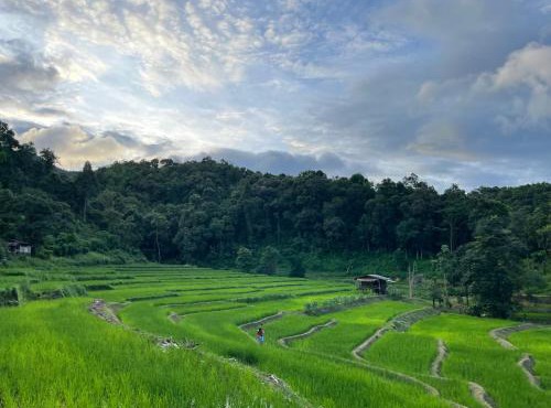 Chibacall ชิบะคอล Karen Mountains Hideaway Homestay