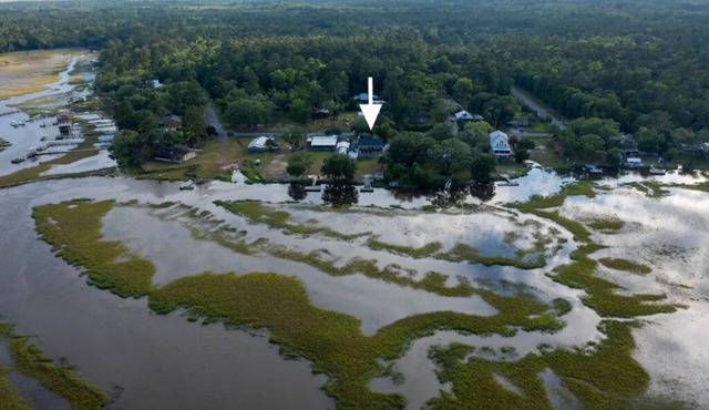 Coastal Tranquility in Waverly