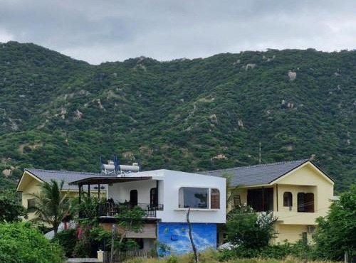 Color Inn - Homestay & Cafe
