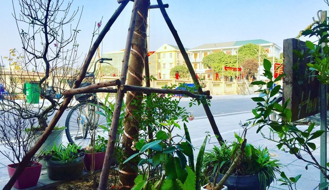 CoTo Family Homestay