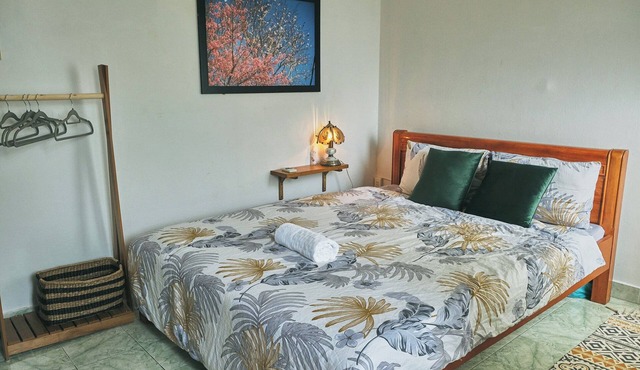 D1 Value: Quiet 1BR w/Balcony & Kitchen, entire apt, Pet Friendly, near Park