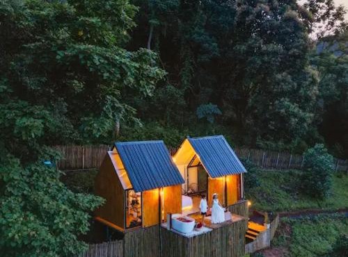 Dandelion Cabin
