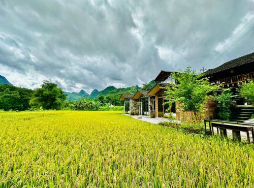 Du Gia Field View Homestay