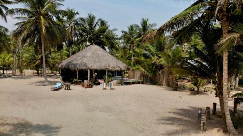 EcoPalapa Mimí in Tuxpan de Rodríguez Cano