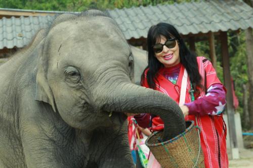 Elephant Jungle Eco Stay Chiang Mai in Chiang Mai