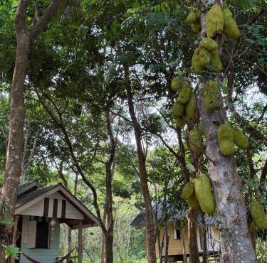 Eternal Forest Beach Bar&Bungalow in Ranong