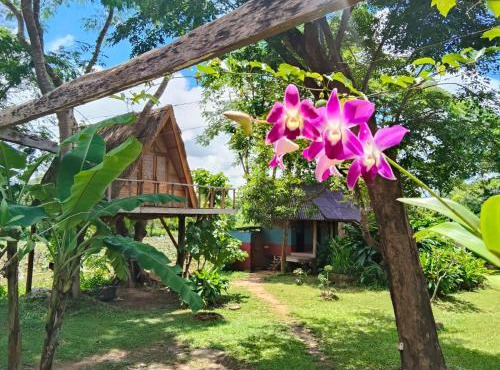 Fandee Island - Treehouses, Tiny Houses & Zipline - Tad Lo, Boloven Loop Pakse