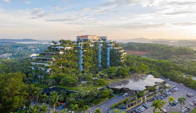 Flamingo Dai Lai Resort - Forest In The Sky Executive F220