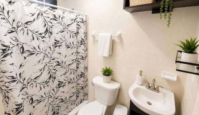 Fully furnished one-bedroom apartment in Ciudad Benito Juárez