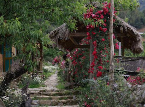 H'mong Cổ Trấn Sapa Homestay & Restaurant