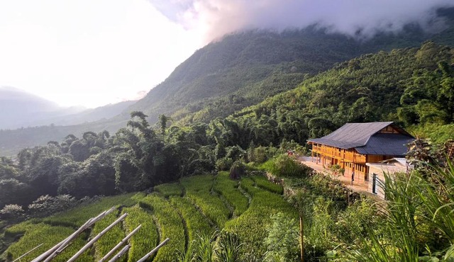 Hmong Mountain Homestay Sa Pa