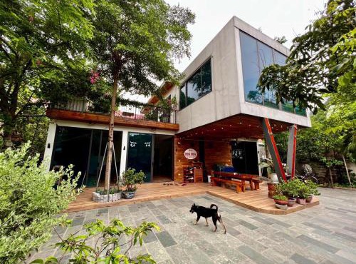 Hoà Hoa villa Ninh binh
