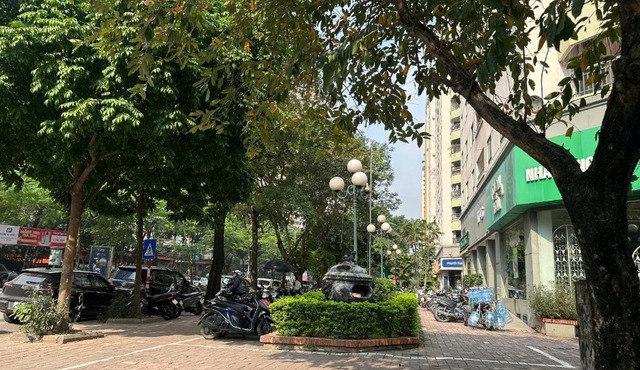 Hoa Bồ Công Anh 401TM3 in Hanoi