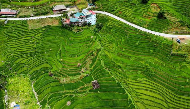 Hoa's homestay Sapa