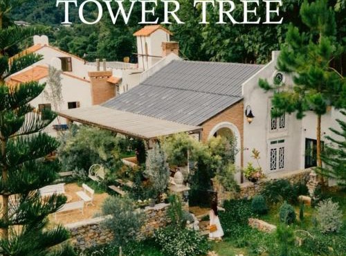 Home Tower tree เชียงใหม่ in Mae Rim