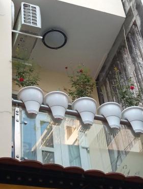 Homestay 63