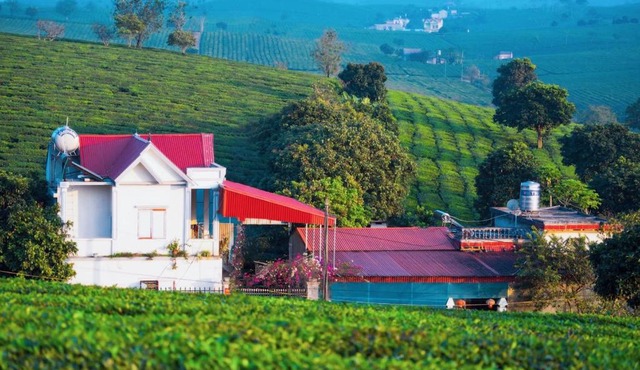 Homestay Moc Chau
