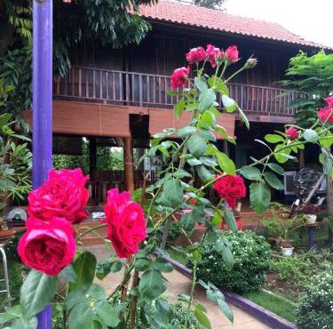 homestay nhà sàn