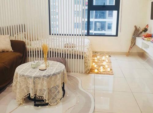 Homestay Vinhome Ocean Park S201