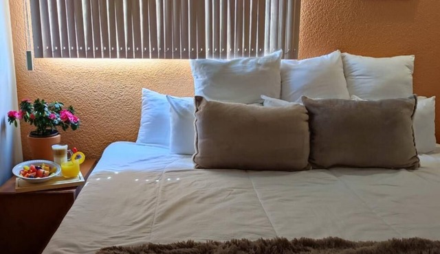 Hotel Express Quinta Soledad in Mexico City
