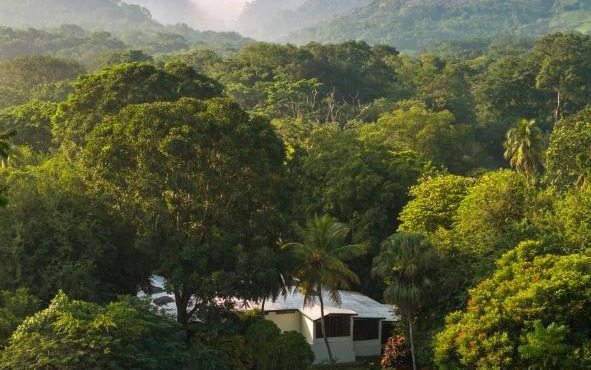 Hotel Nututun Palenque in Palenque
