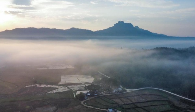Kaewma farmstay