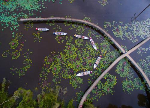 KDL Làng Nổi Tân Lập - Tan Lap Floating Village in Moc Hoa