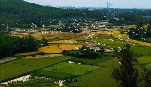 Là Nhà in Binh Son