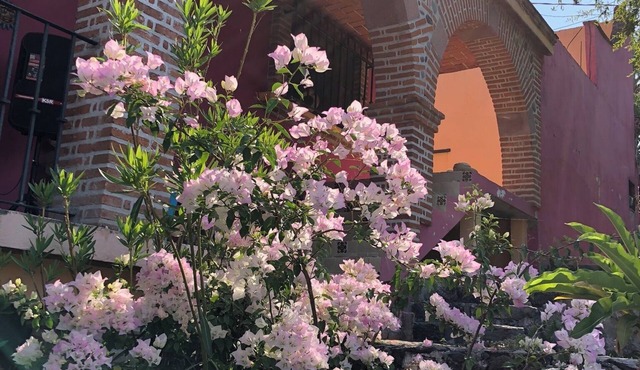 La Escondida, Alberca y Jardín in Xochitepec