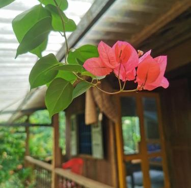Lily's Stone Garden homestay