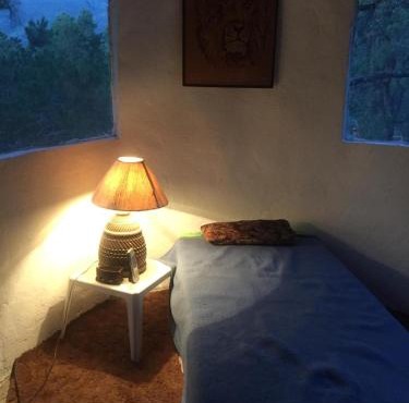 Lions King cabin woods in Saltillo