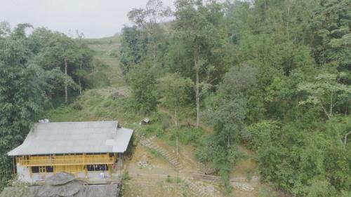 Local Homestay