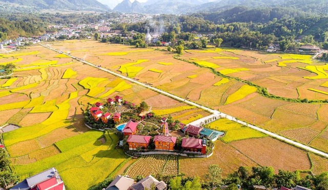 Love hill than Uyên