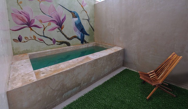 Luxury oasis with private swimming pool and yking bed in Mérida