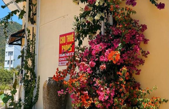 LV Homestay in Nha Trang