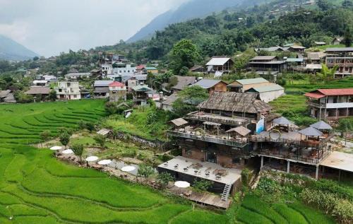 Mướng Và Valley