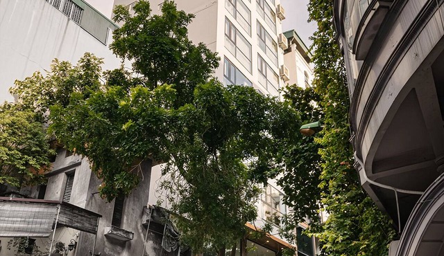 Mandore Living Suite in Hanoi