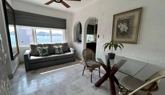 Manzanillo Ocean View Apartment - perfect for couples - pet friendly in Manzanillo